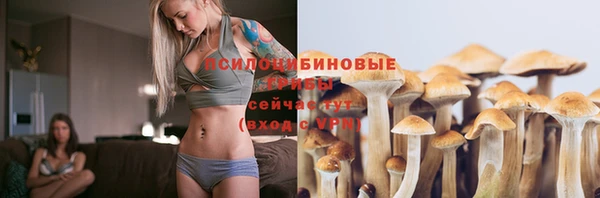прущая мука Абаза
