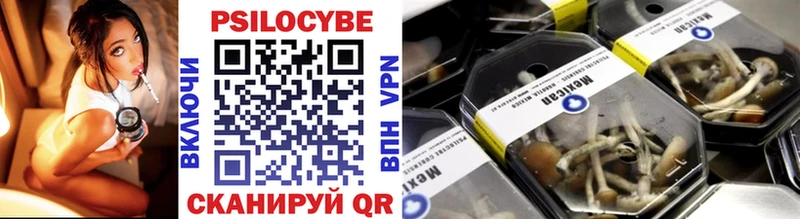 Псилоцибиновые грибы Psilocybe  Тутаев 