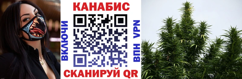 где найти наркотики Тутаев Шишки марихуана планчик